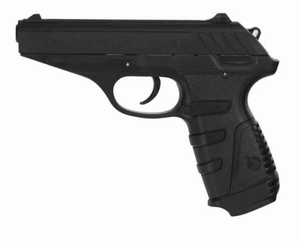 Gamo PT-25 .177
