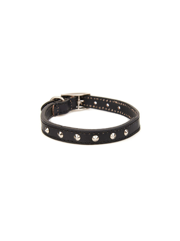 Barbour Int Leather Dog Collar M