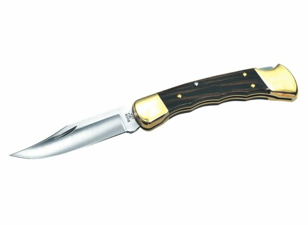 Buck Hunter Lock Knife