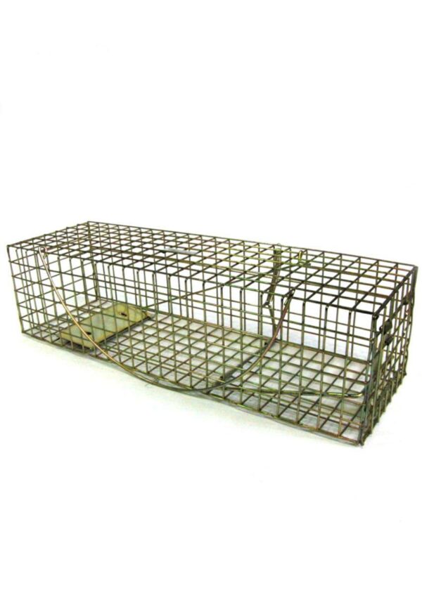 Mink Cage Trap