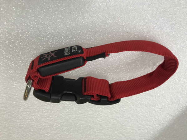 Nite Dawg Med Red Collar