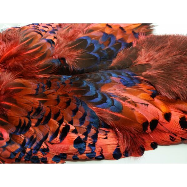 Pheasabou - Image 7