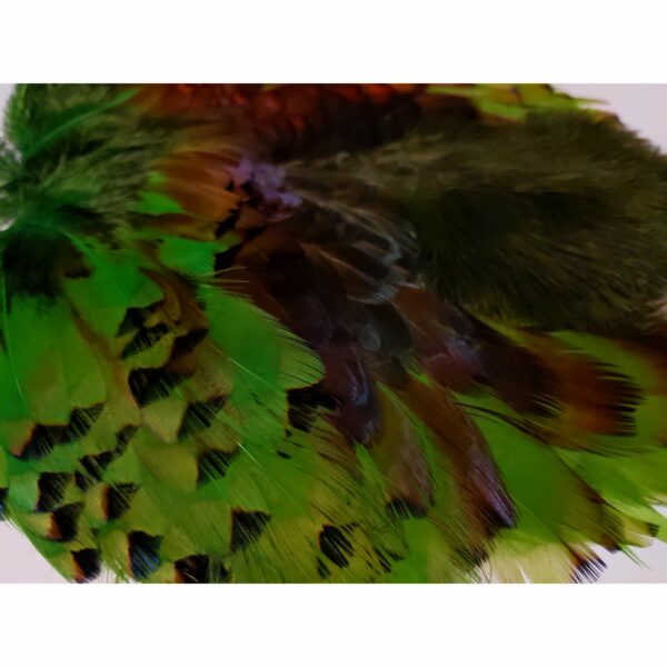Pheasabou - Image 4