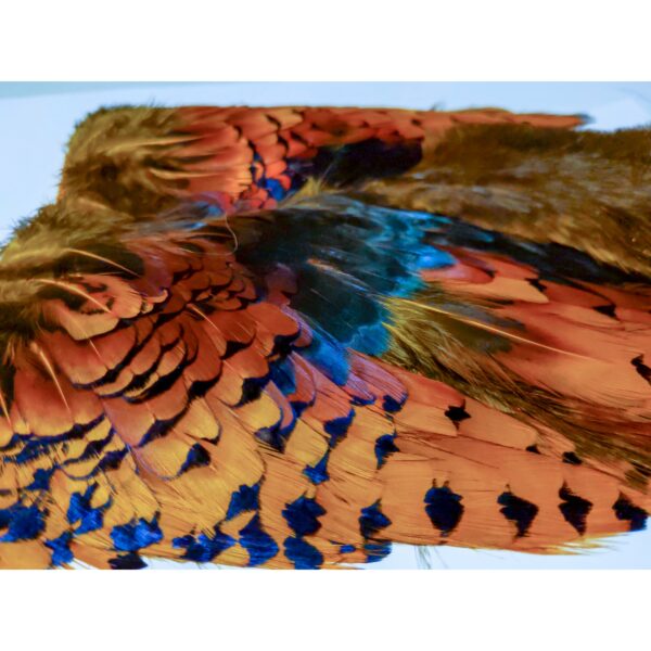 Pheasabou - Image 3