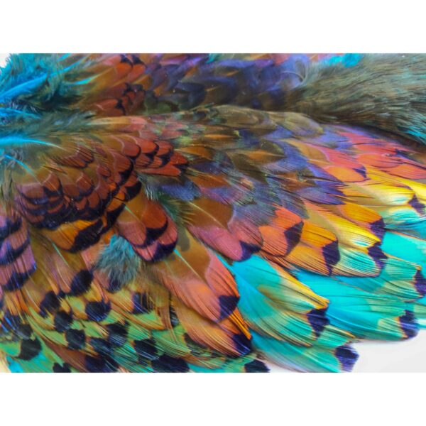 Pheasabou - Image 2
