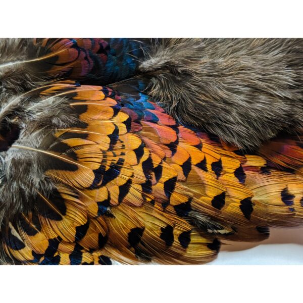 Pheasabou - Image 6