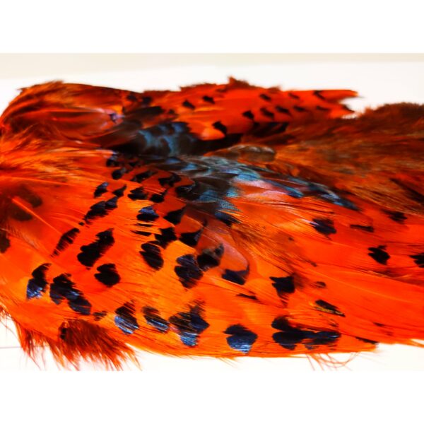 Pheasabou - Image 5