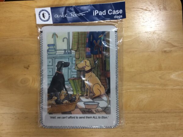 Ipad Case
