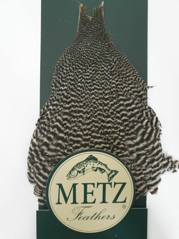 Metz Hen Cape