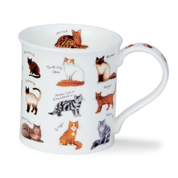 Dunoon Bute Mug Cat Breeds