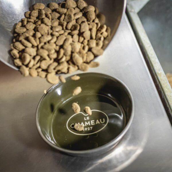 Chameau Stainless Steel Dog Bowl