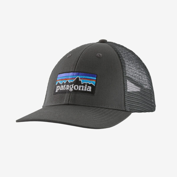 Patagonia P-6 Logo LoPro Trucker hat
