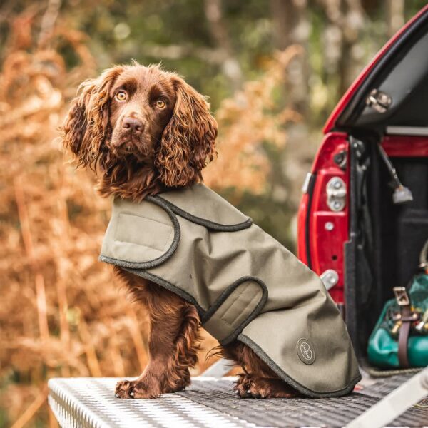 Le Chameau Dog Coat Vert Chameau - Image 2