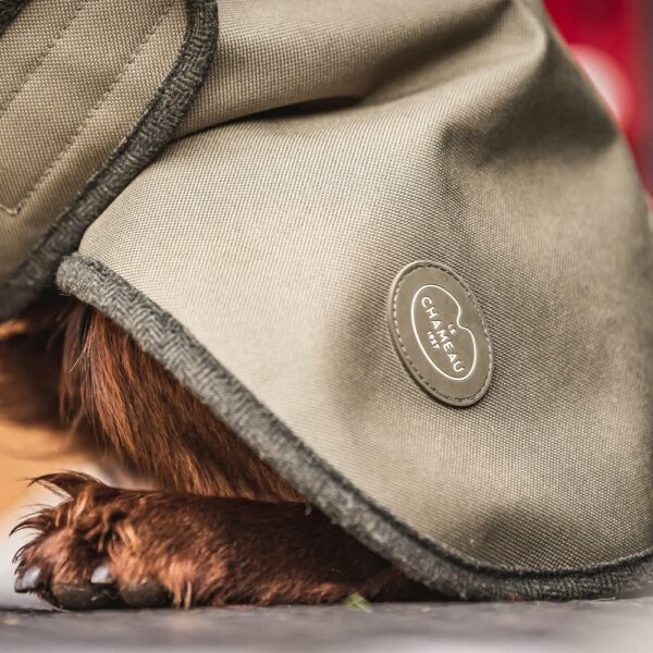Le Chameau Dog Coat Vert Chameau - Image 3