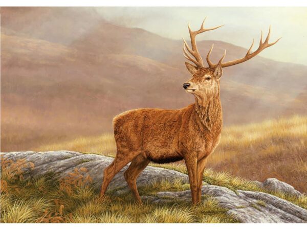Greetings Card Christmas Pack of 5 Red Stag