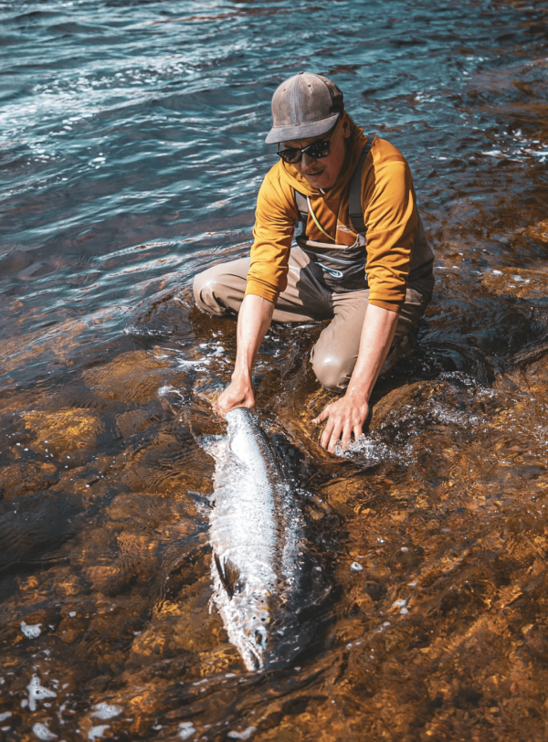 Vision Custom Salmon DH - Image 8