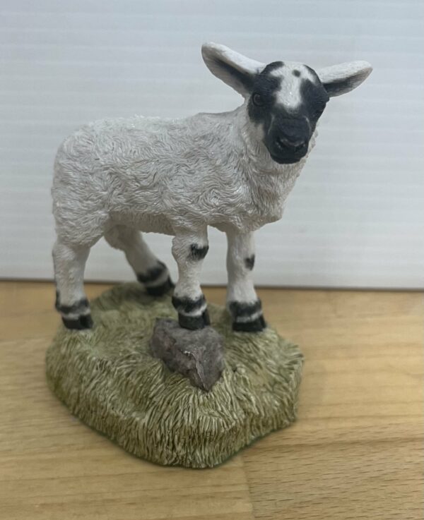 Wildtrack Lamb*