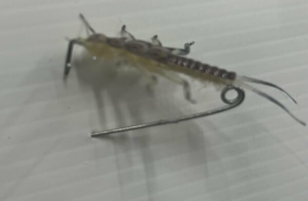 Hemingway Pin On Stonefly Badge - Image 2