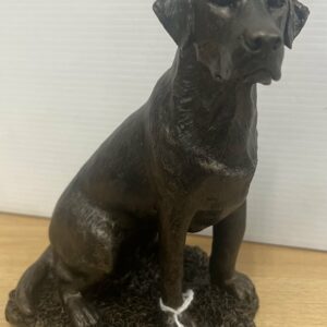 Patina Bronze Labrador Sitting