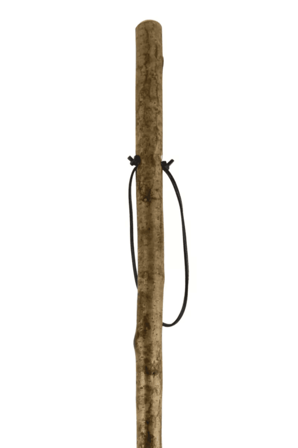 CC Hazel Hiking Stave /Beating Stick with Leather Wrist Loop