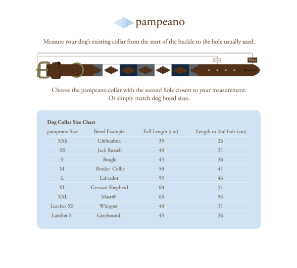 Pampeano Pampa Multi Colour Dog Collar - Image 3