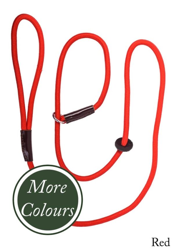 Bonart Dog Slip Lead Red