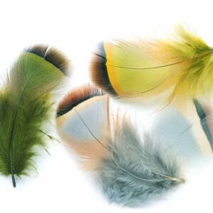 French Partridge Hackle