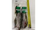 Devon Baits Lamprey Sections 4pk