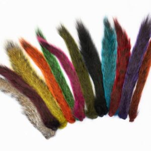 Grey Squirrel Tails