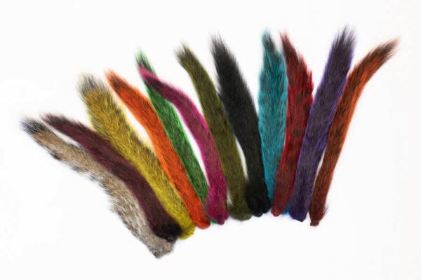 Grey Squirrel Tails