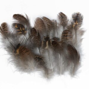 Grouse Body Plumage 2 Grams