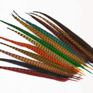 Pheasant Centre Tails Natura