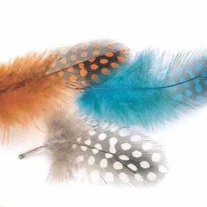 Guinea Fowl Plumage 2g