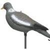 Sportplast Pigeon Decoy Full with legs 4 pack