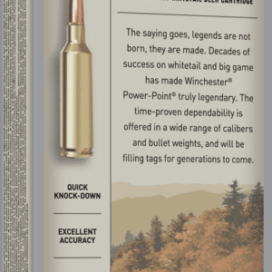 Alternative view of 300 Winchester WSM 180g Power Point