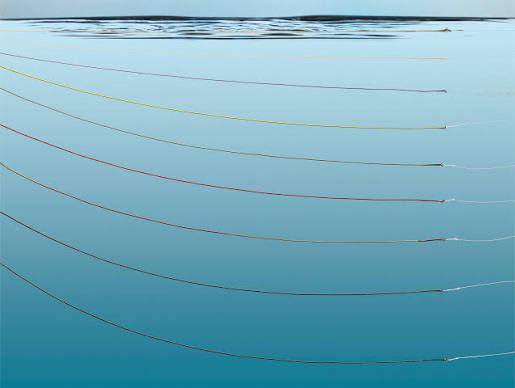 Frodin DH Salar Catch Integrated Single Piece Shooting Line Floating - Image 2